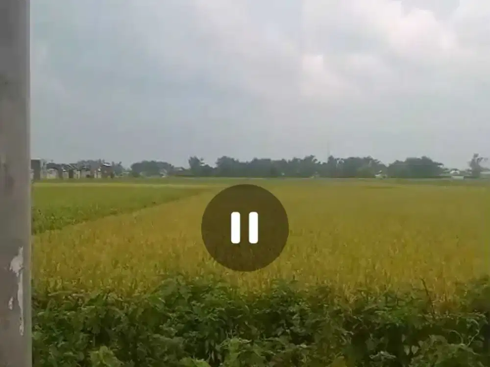 Dijual tanah pertanian nol jalan aspal strategis Nganjuk