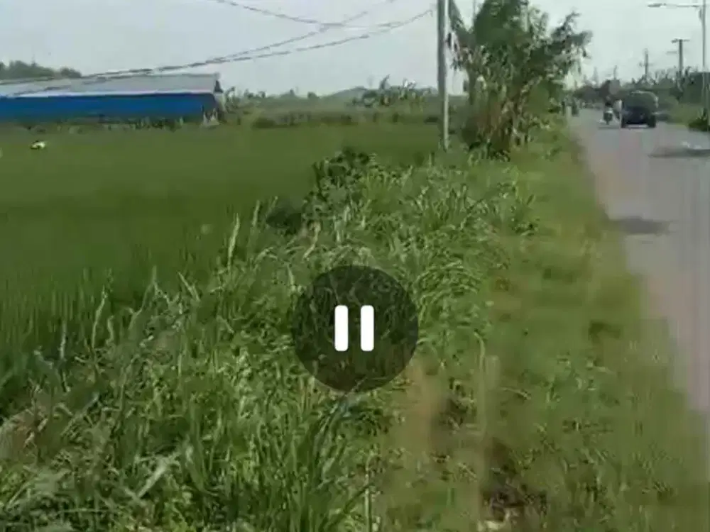 Dijual tanah zona industri nol jalan Mojoagung, Jombang