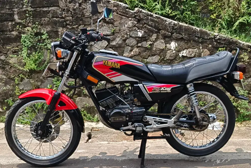 Yamaha rx king 1994