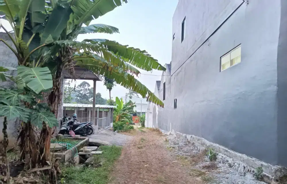 Dijual Tanah murah luas cocok untuk kos kosan dekat Undip Tembalang dk