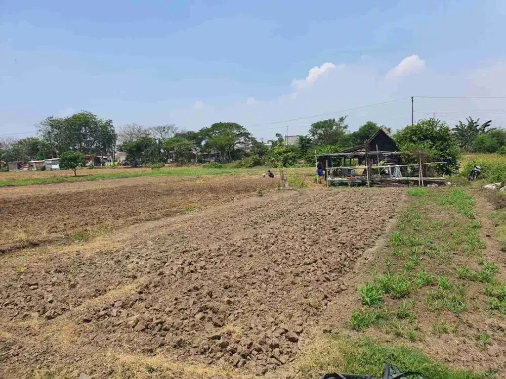 Dijual cepat tanah / lahan 8700 di pinggir jalan Raya Kedaung Babelan Bekasi