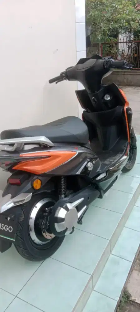 Molis lisgo flash S1