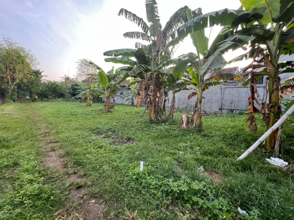 Tanah Strategis Area Kudus Kota – SHM - 2 Kapling