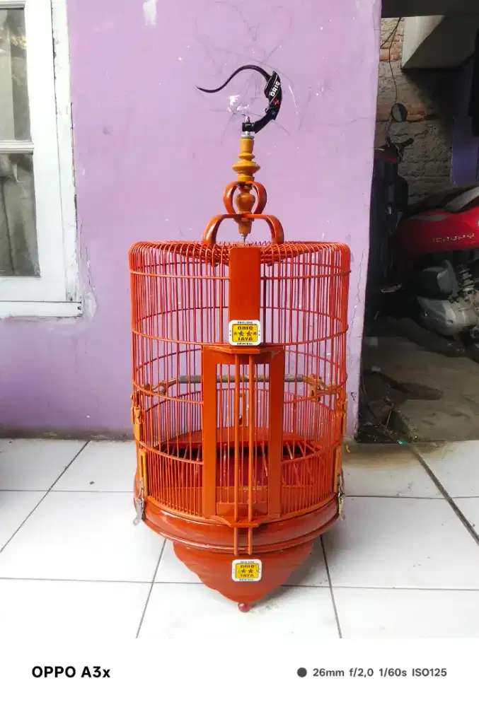 Sangkar Anis merah