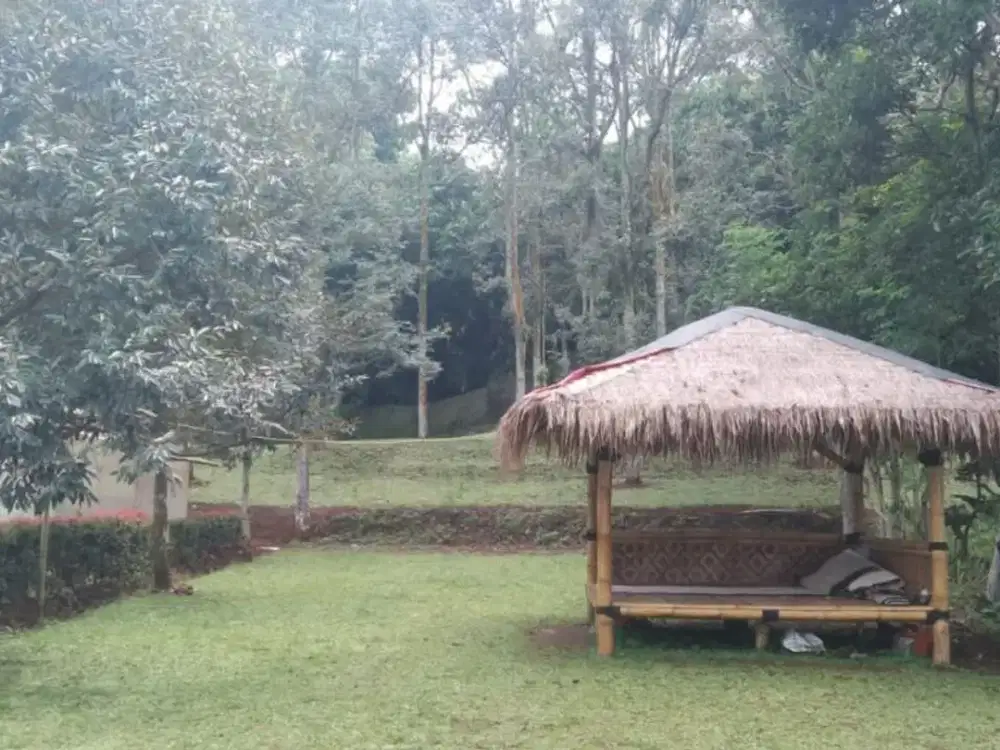 Jual Kebun Durian Yang Rutin Berbuah di Cijeruk Bogor dekat ke Kebun Raya Bogor