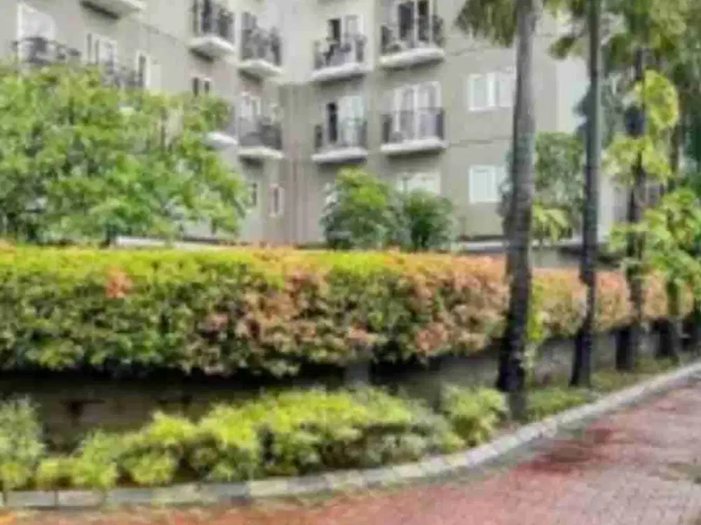 Disewakan apartemen Sunter Park View