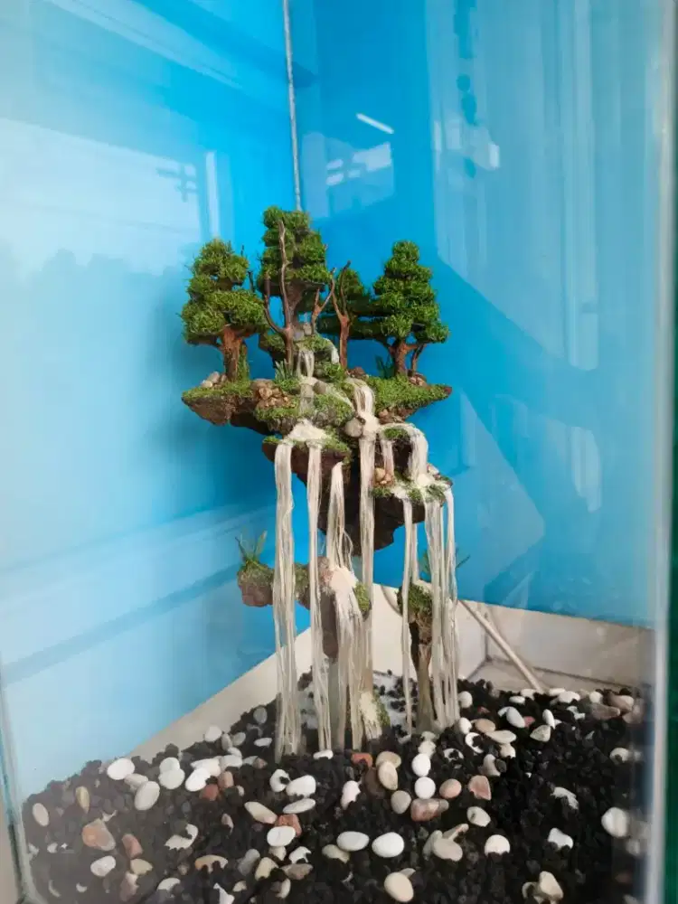 Aquascape paludarium