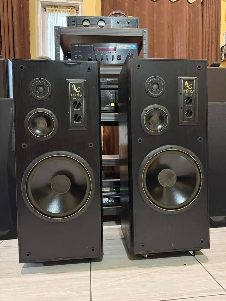Speaker infinity sm 125 12 inchi