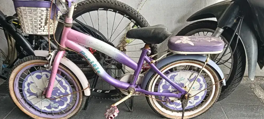 Sepeda anak perempuan