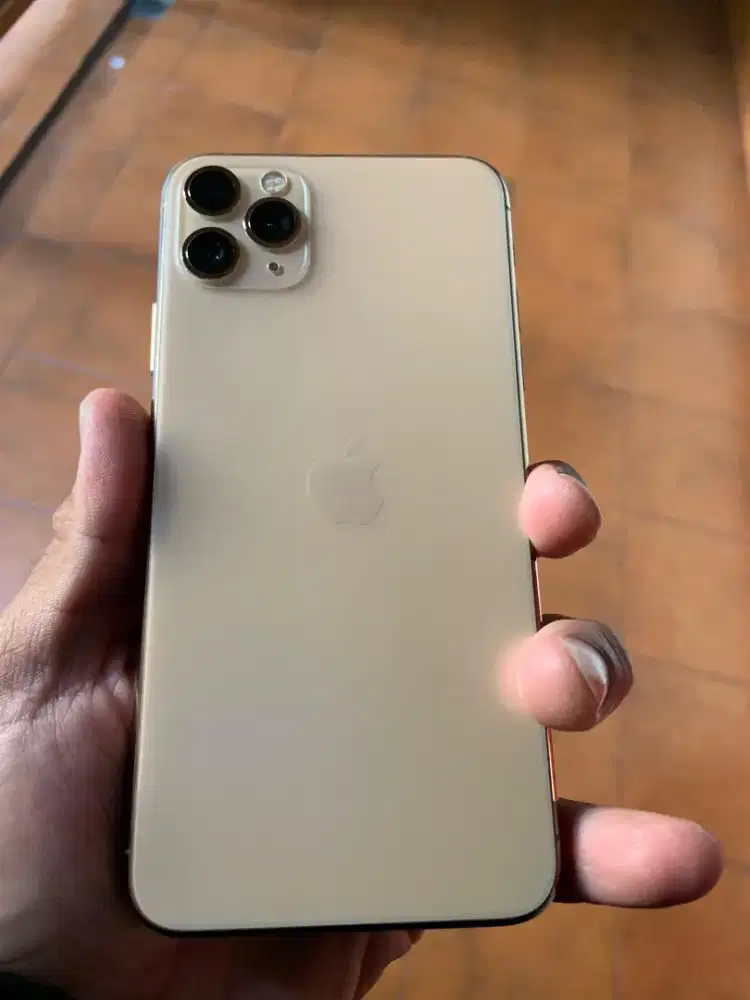 iPhone 11 pro max 256gb x inter allop
