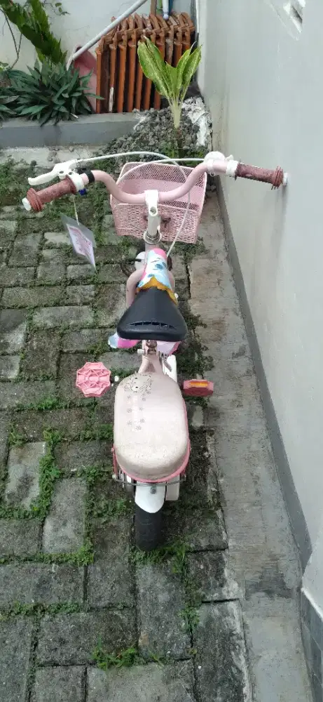 Sepeda Mini anak