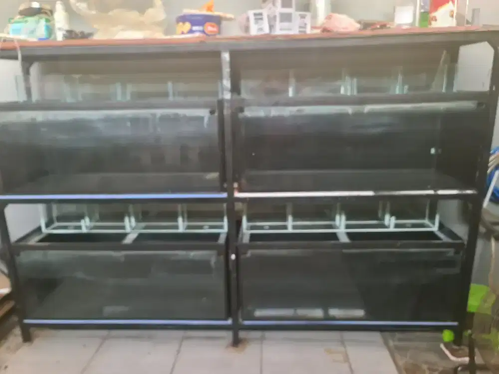 Aquarium Murah Meriah