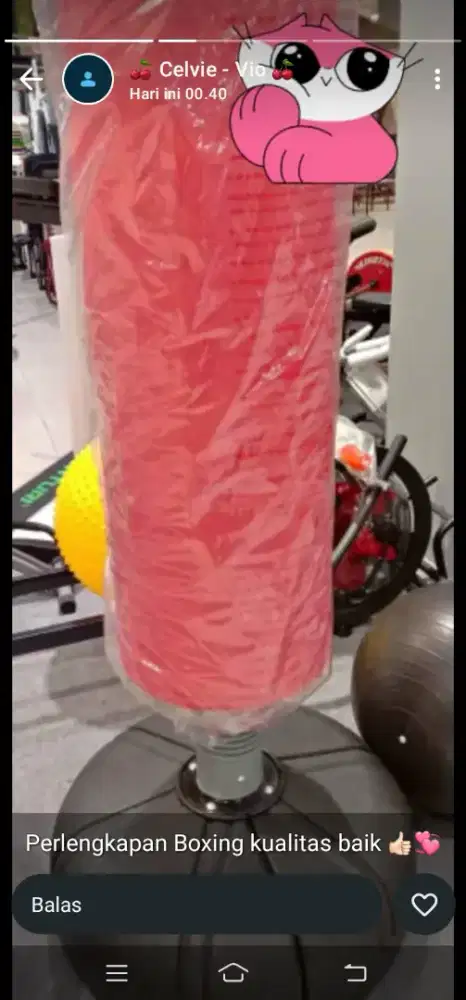 Samsat tinju baru wa