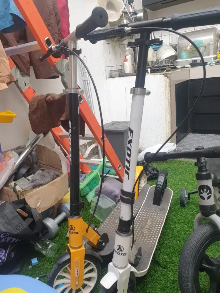 Scooter exotic 313