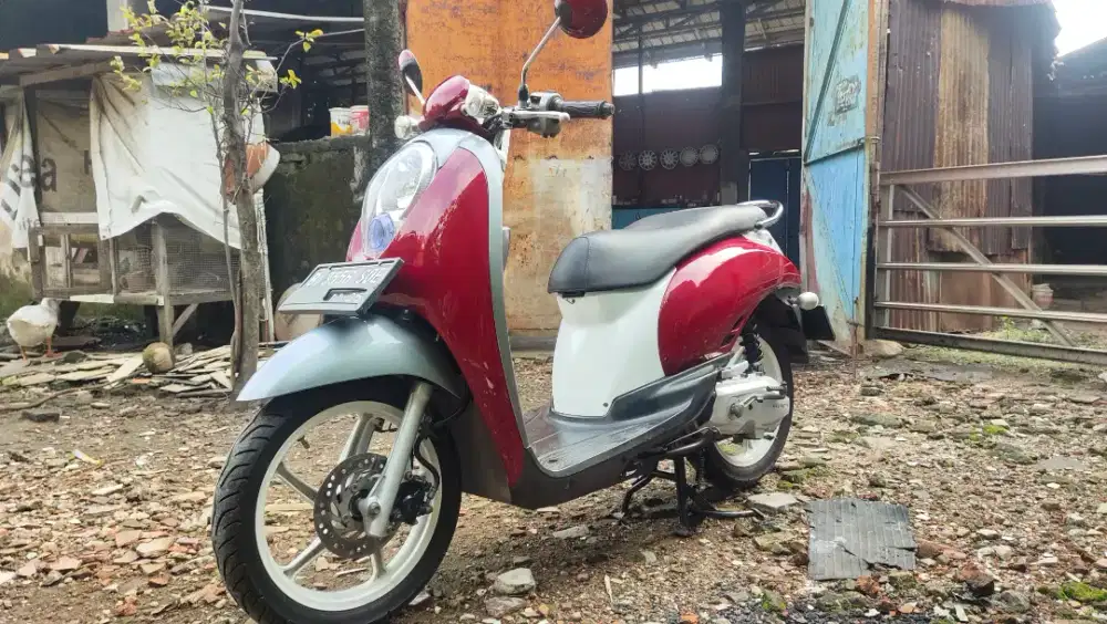 Honda scoopy 2011