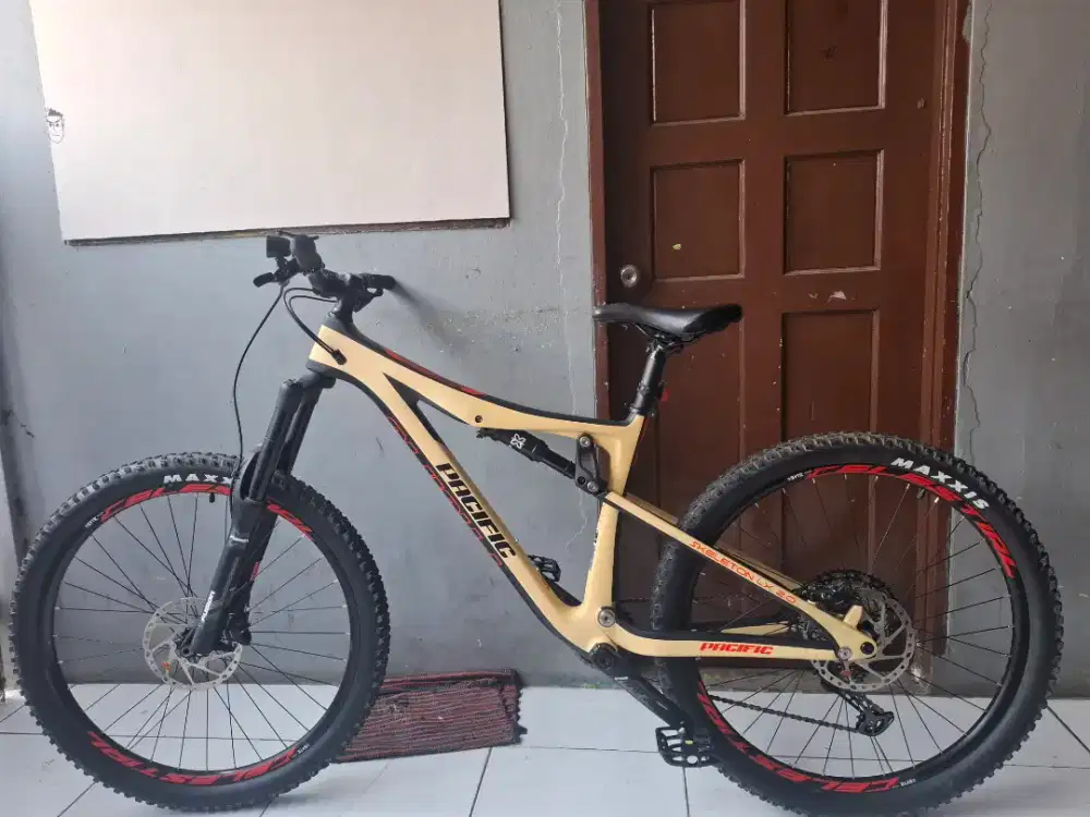 Pacific skeleton lx 2.0 carbon