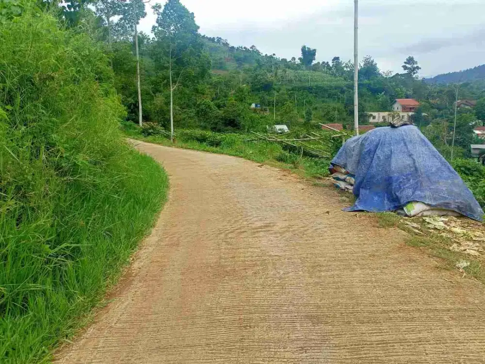Tanah kebun Cukanggenteng Ciwidey Bandung
