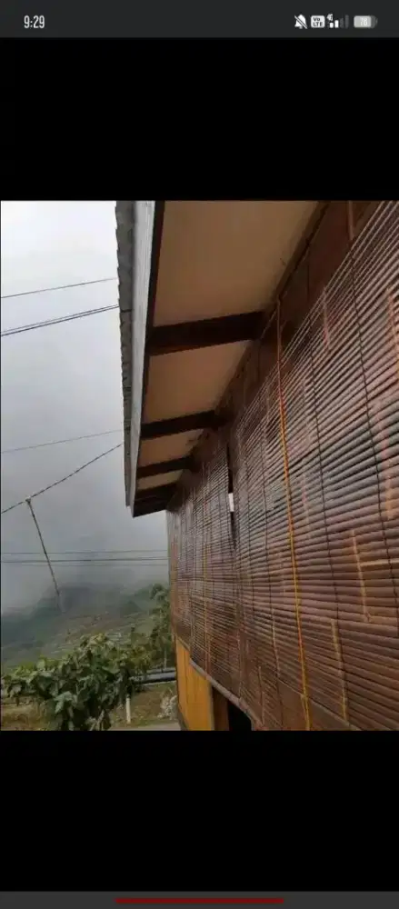 tirai bambu wulung yagesya