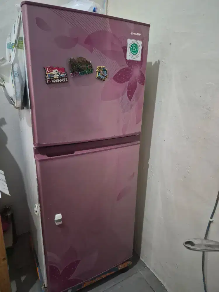 Kulkas Sharp 2 pintu