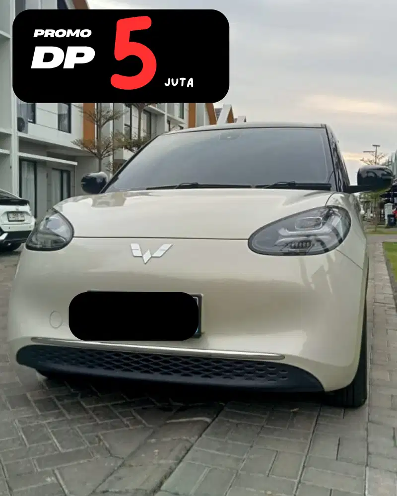 Wuling Binguo EV PREMIUM RANGE ( AC DC ) 2024