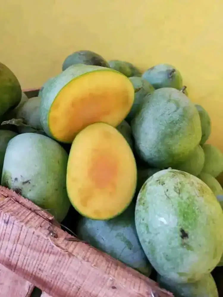 Mangga manalagi madu manis