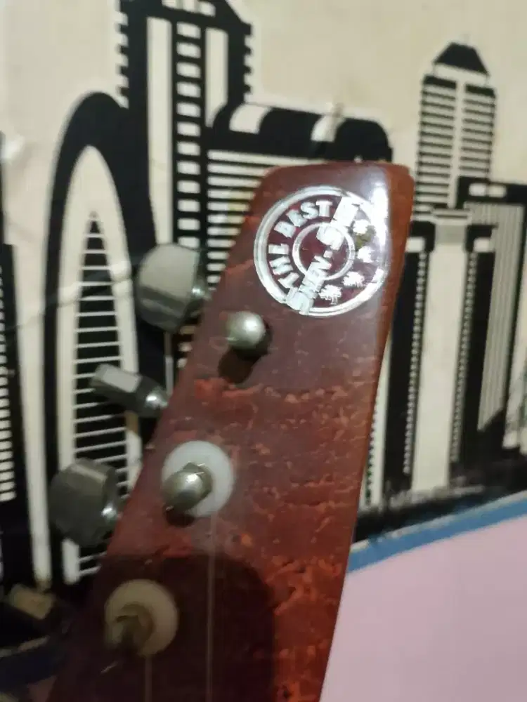 Guitar shen shen