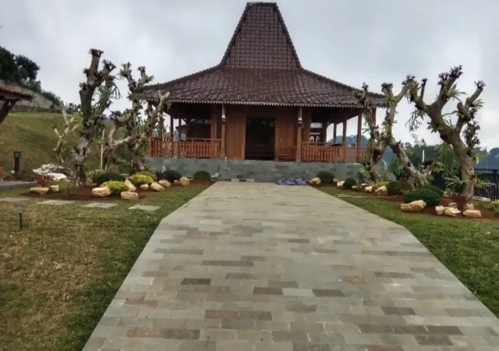 Jasa landscape ,perawatan