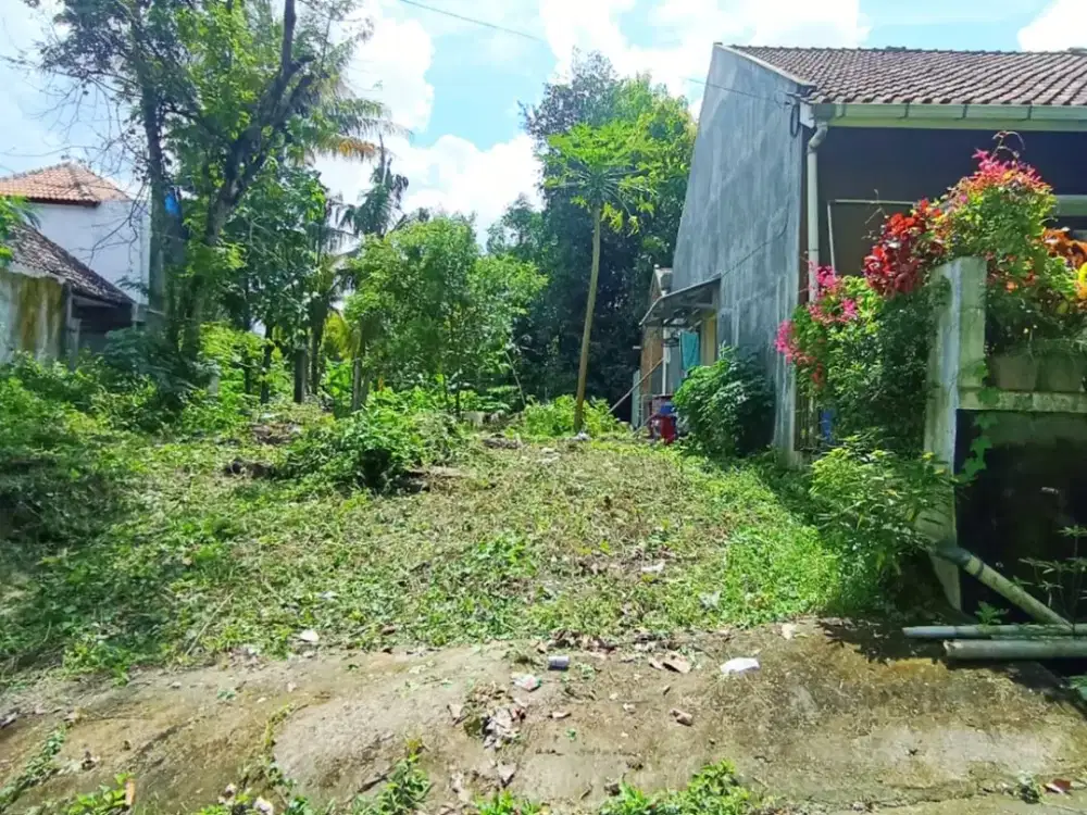 Tanah Pekarangan Murah di Kasihan Bantul #Kode : TP 142