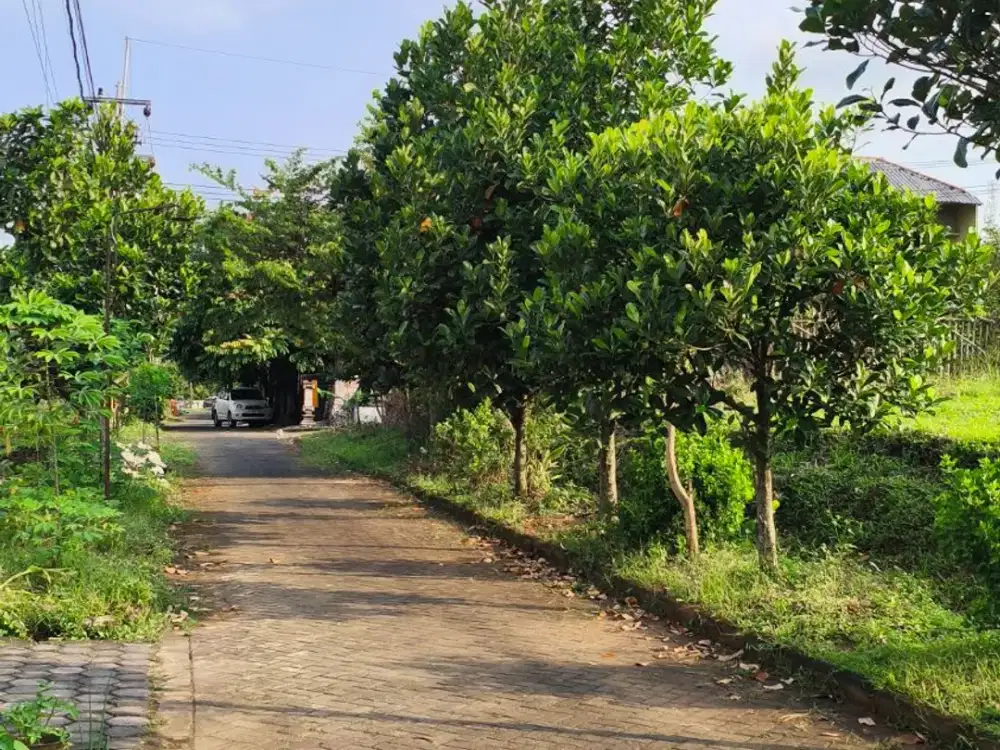 Tanah Murah Dekat Pusat Kota Malang Lokasi Bandulan