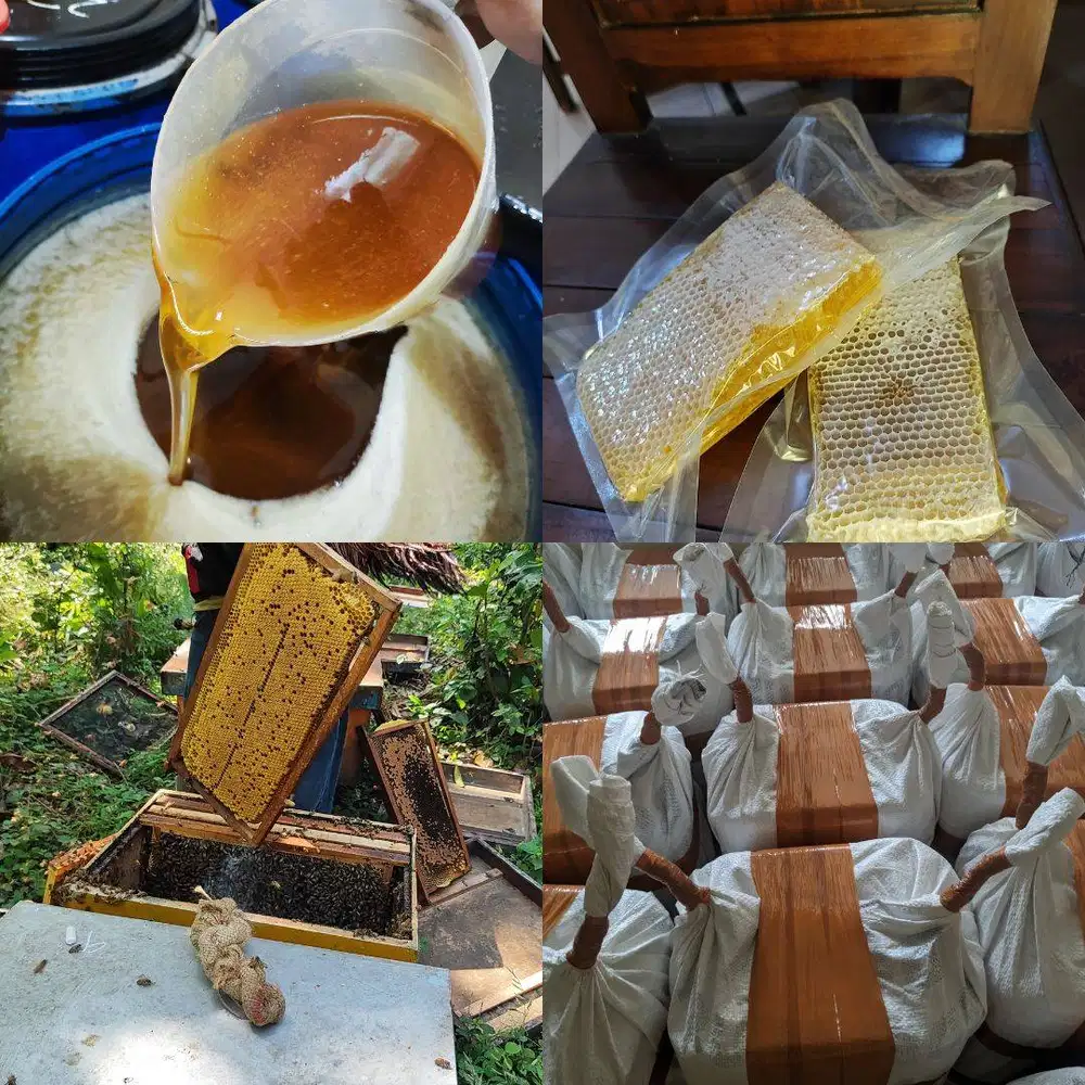 AGEN JUAL MADU SITUBONDO ASLI MURNI, Grosir Murah