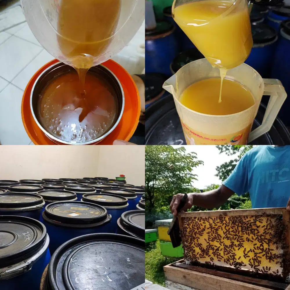 AGEN JUAL MADU TRENGGALEK ASLI MURNI, Grosir Murah