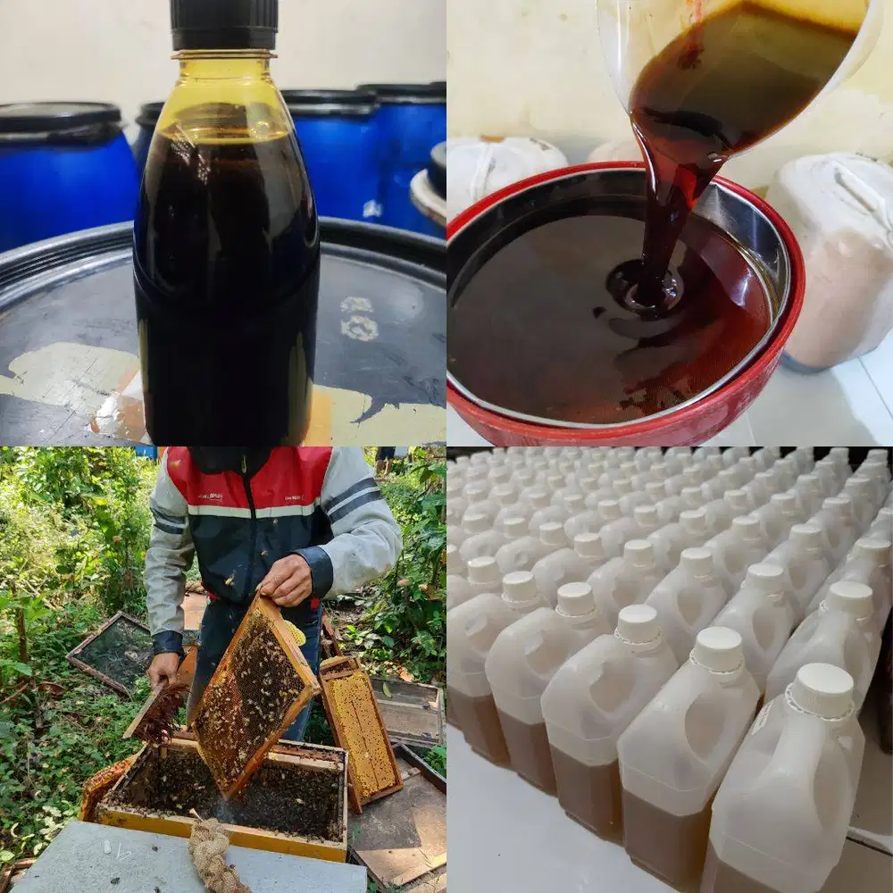 AGEN JUAL MADU TULUNGAGUNG ASLI MURNI, Grosir Murah