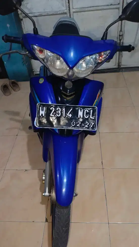 Jupiter burung hantu