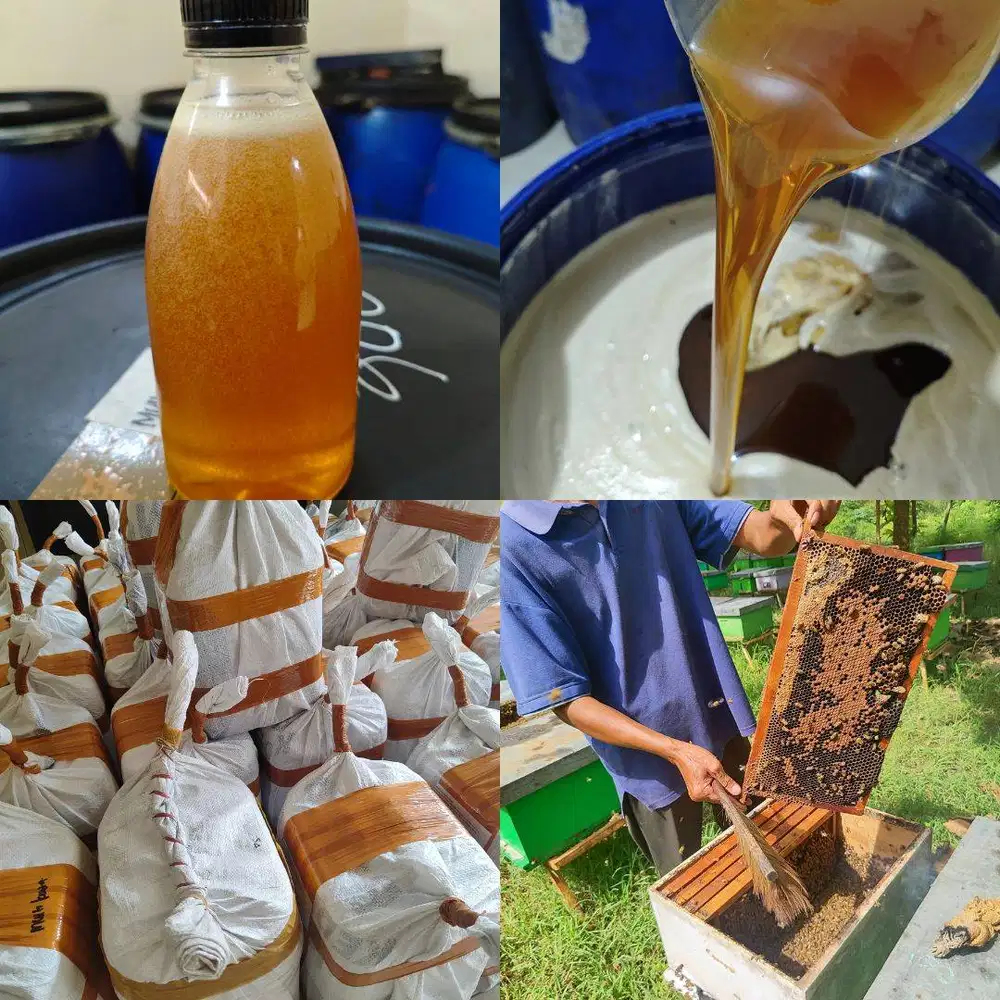 AGEN JUAL MADU LUMAJANG ASLI MURNI, Grosir Murah