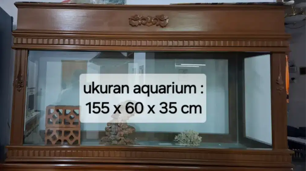 Akuarium untuk Ikan Hias/ Arwana