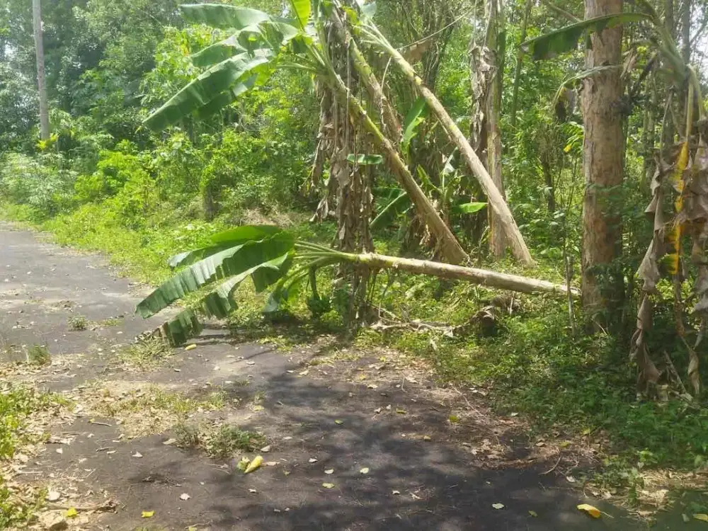 Dijual Tanah Pekarangan di Maguwo