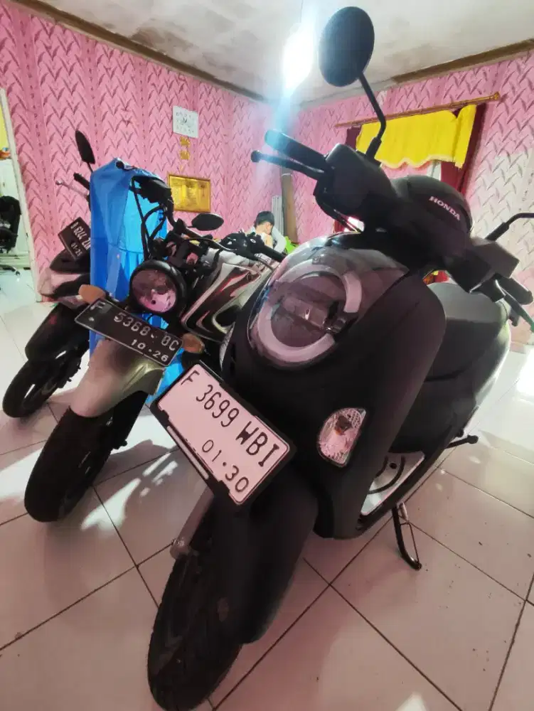 Scoopy Tahun 2024