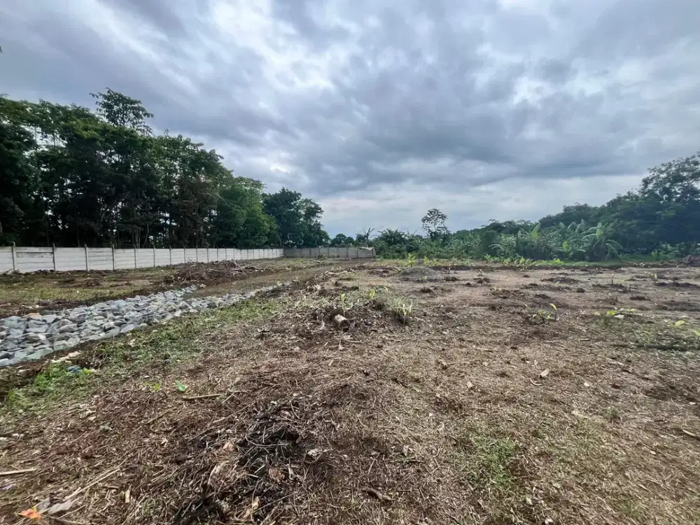 Kavling Cisauk Murah Dekat Tol Legok, Lokasi Asri