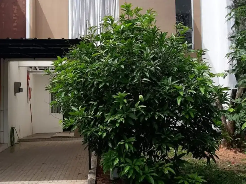 Jual Rumah BSD Icon Eastern Cosmo Super Ciamik Super Murah