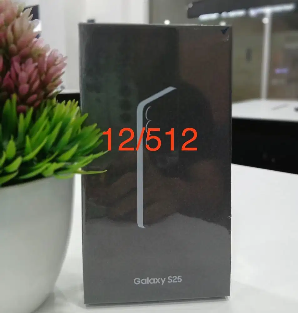 Samsung Galaxy S25 5G 12/512