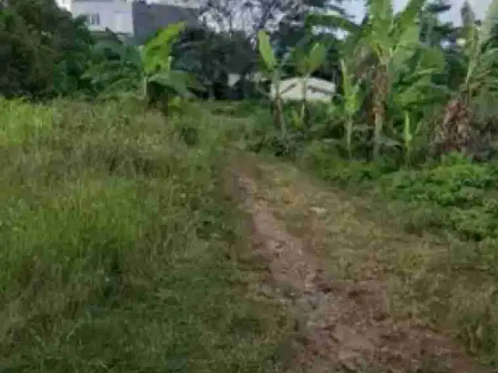 Tanah Tembalang Bulusan Utara Undip