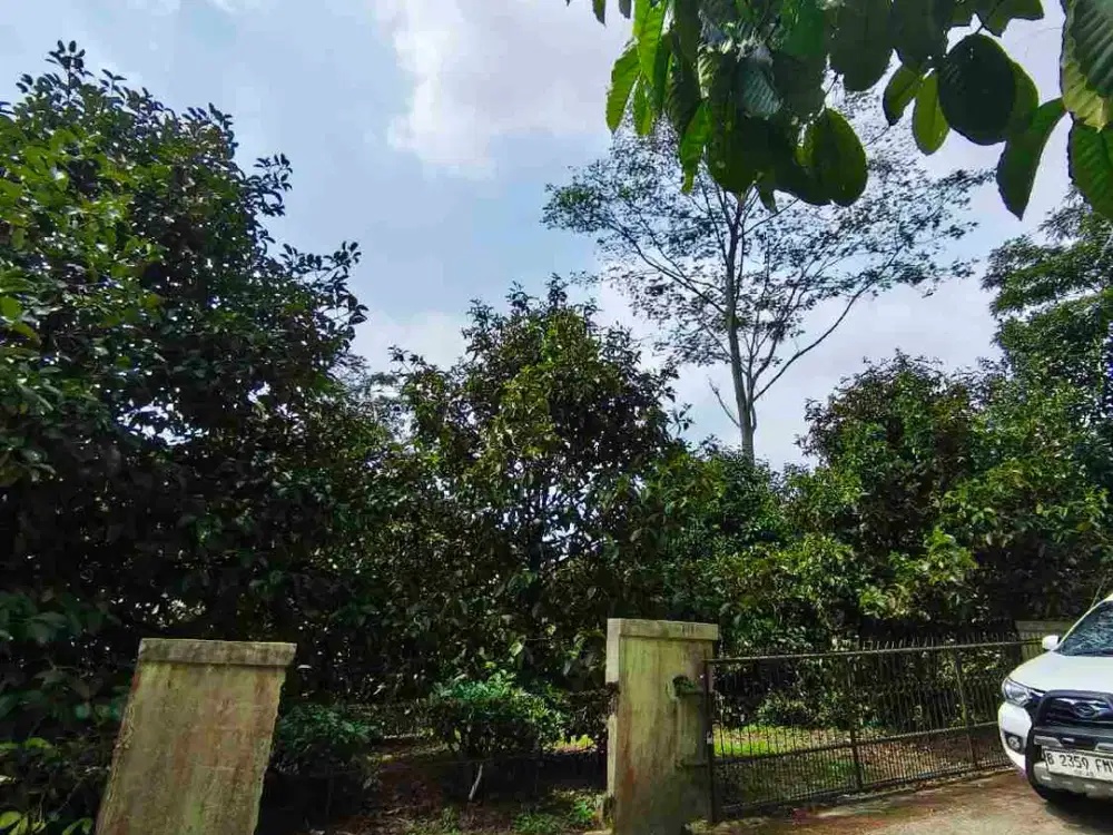 Dijual Tanah & Kebun Asri di Wanayasa – 2.940 m², Harga Terbaik Langsung Pemilik