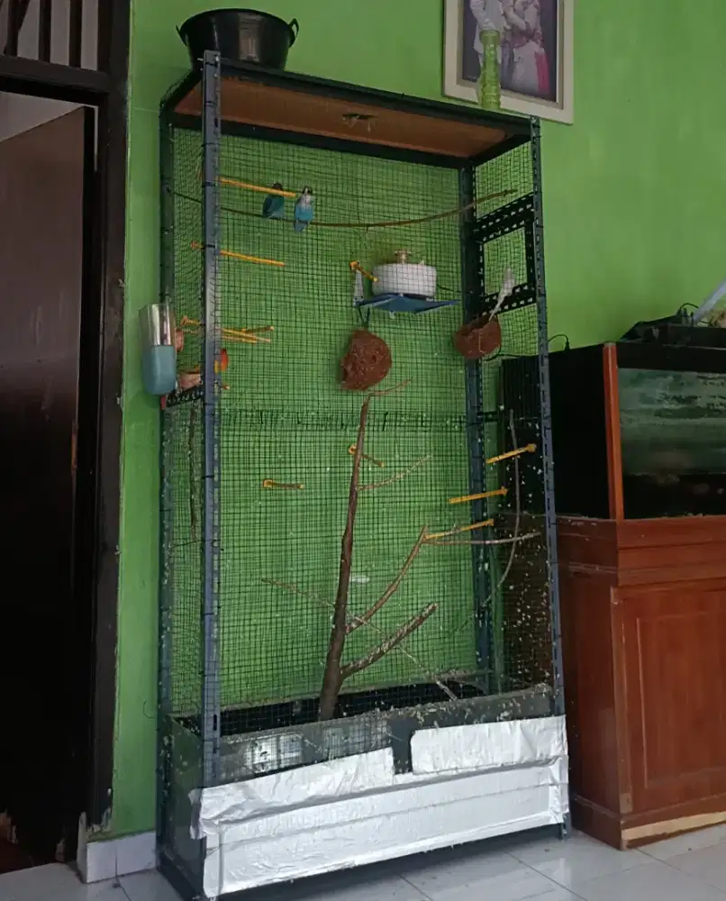 Aviary + 4 burung + aquarium