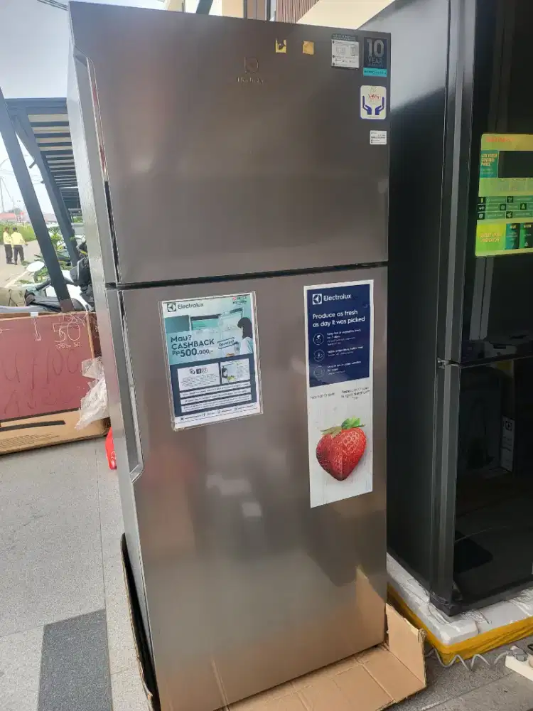 Cuci gudang kulkas Kulkas Electrolux tipe ETB4600B -A