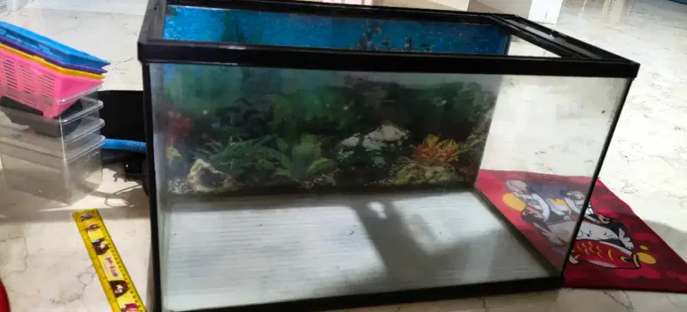 aquarium kaca second