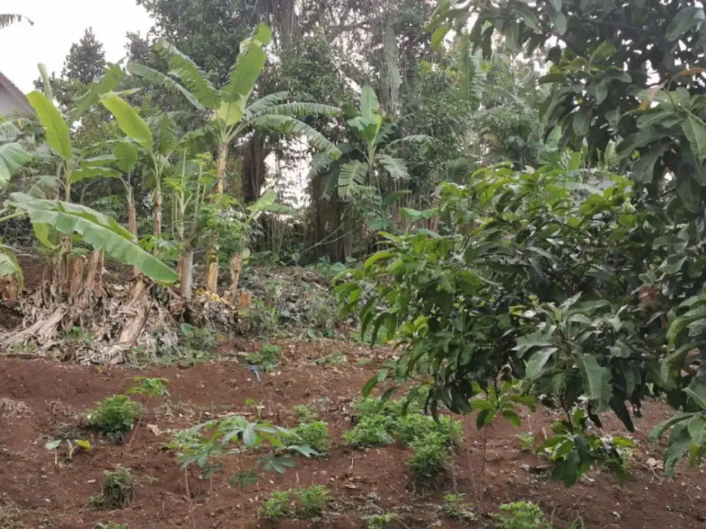 DIJUAL TANAH TUBAGUS ISMAIL (SAYAP DAGO) BANDUNG