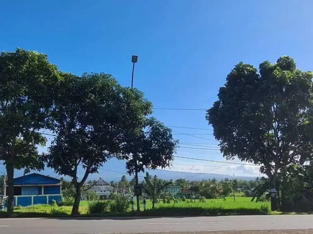 Dijual Cepat Kavling Strategis di Sukabumi