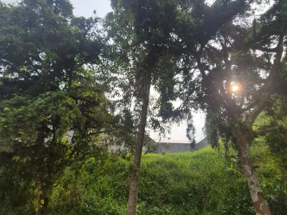 Bebas Desain, Kavling Cakep Di kawasan Sejuk Pondok Hijau, Bandung