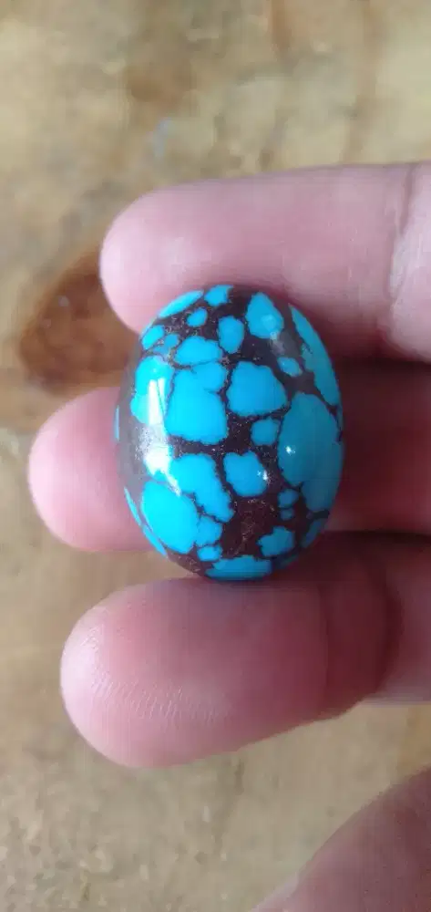 PIRUS MESIR BLUE FANCY
