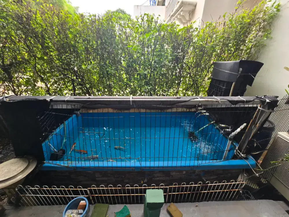 Kolam bak fiber ikan koi